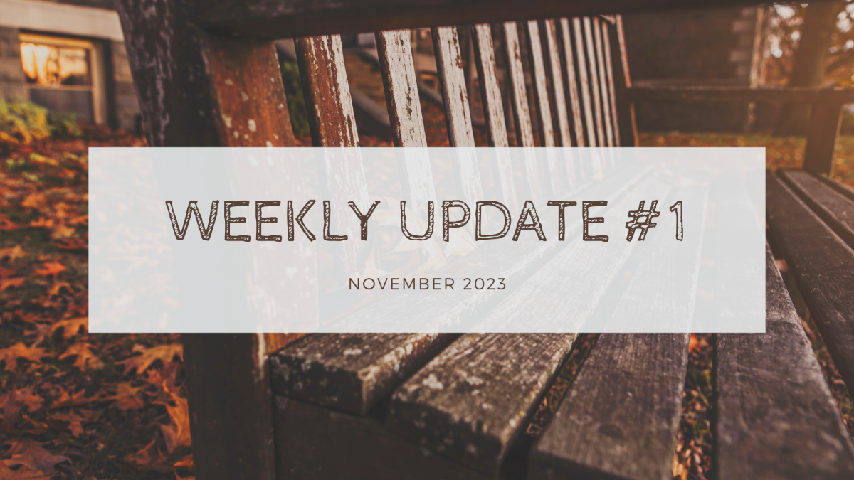 Weekly Update #1 | November 2023